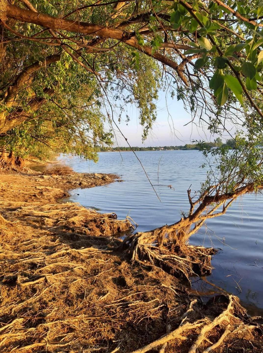 Casa Cu Trandafiri Murighiol Bagian luar foto