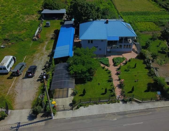 Casa Cu Trandafiri Murighiol Bagian luar foto