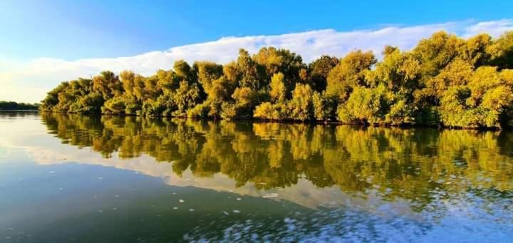 Casa Cu Trandafiri Murighiol Bagian luar foto
