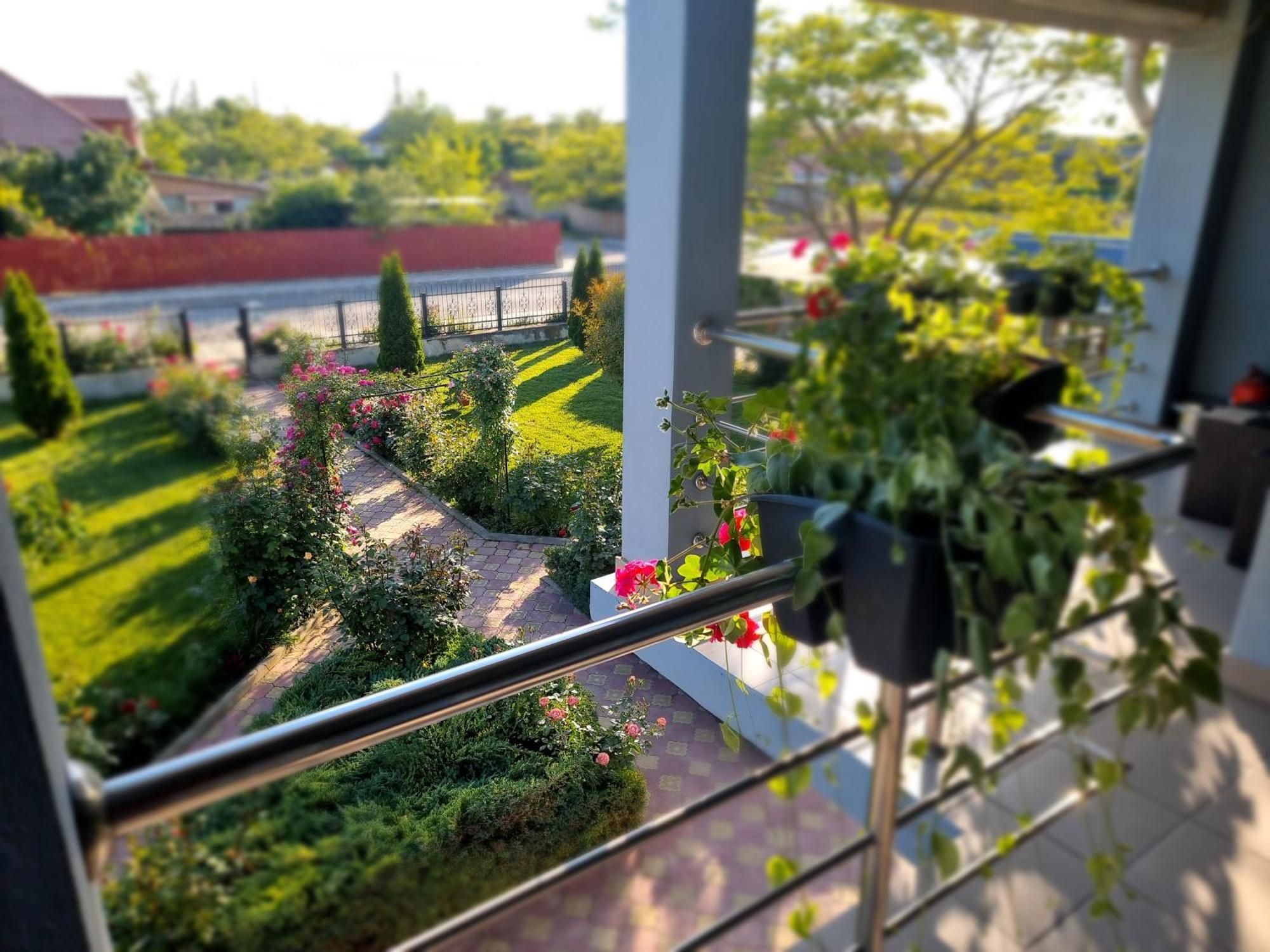 Casa Cu Trandafiri Murighiol Bagian luar foto