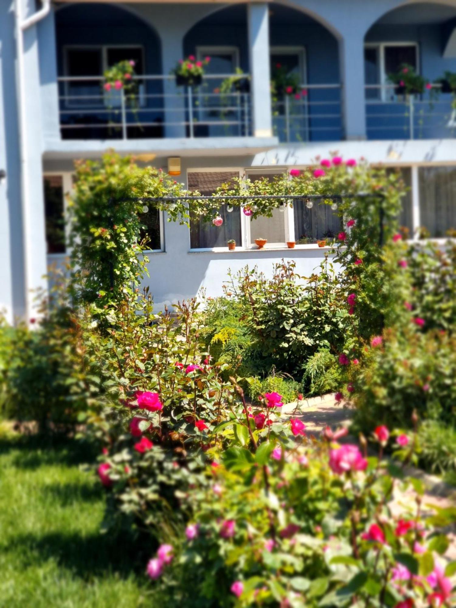 Casa Cu Trandafiri Murighiol Bagian luar foto
