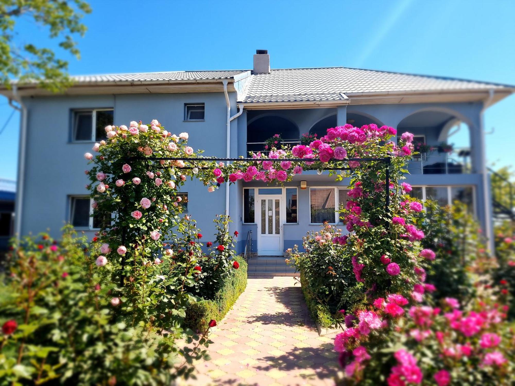 Casa Cu Trandafiri Murighiol Bagian luar foto