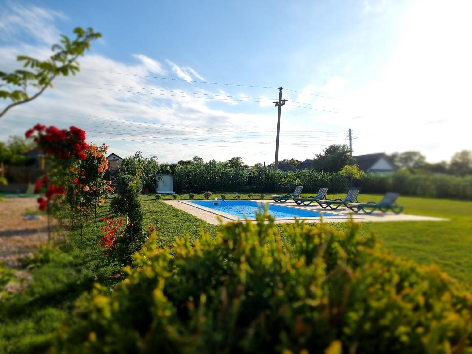 Casa Cu Trandafiri Murighiol Bagian luar foto