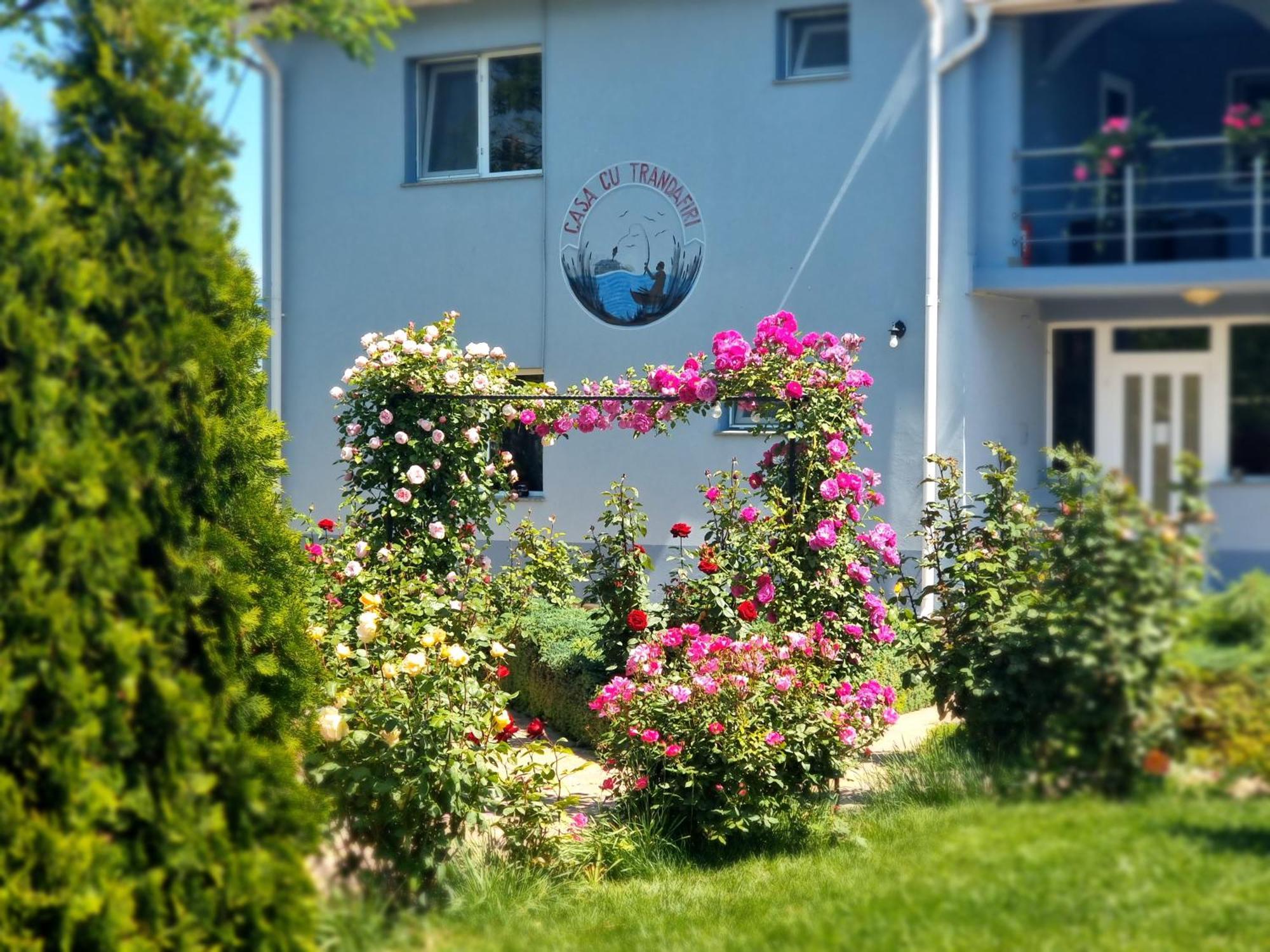 Casa Cu Trandafiri Murighiol Bagian luar foto