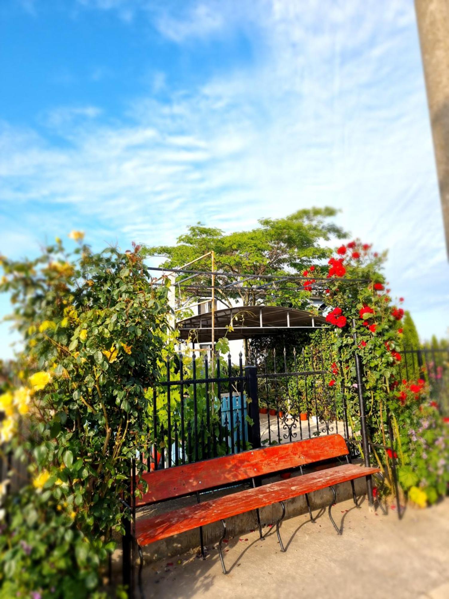 Casa Cu Trandafiri Murighiol Bagian luar foto