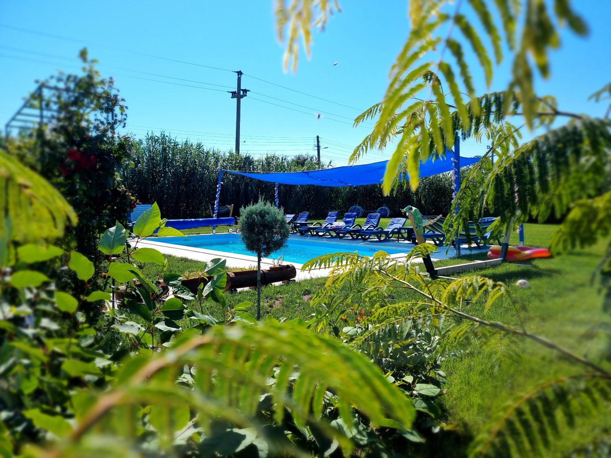 Casa Cu Trandafiri Murighiol Bagian luar foto