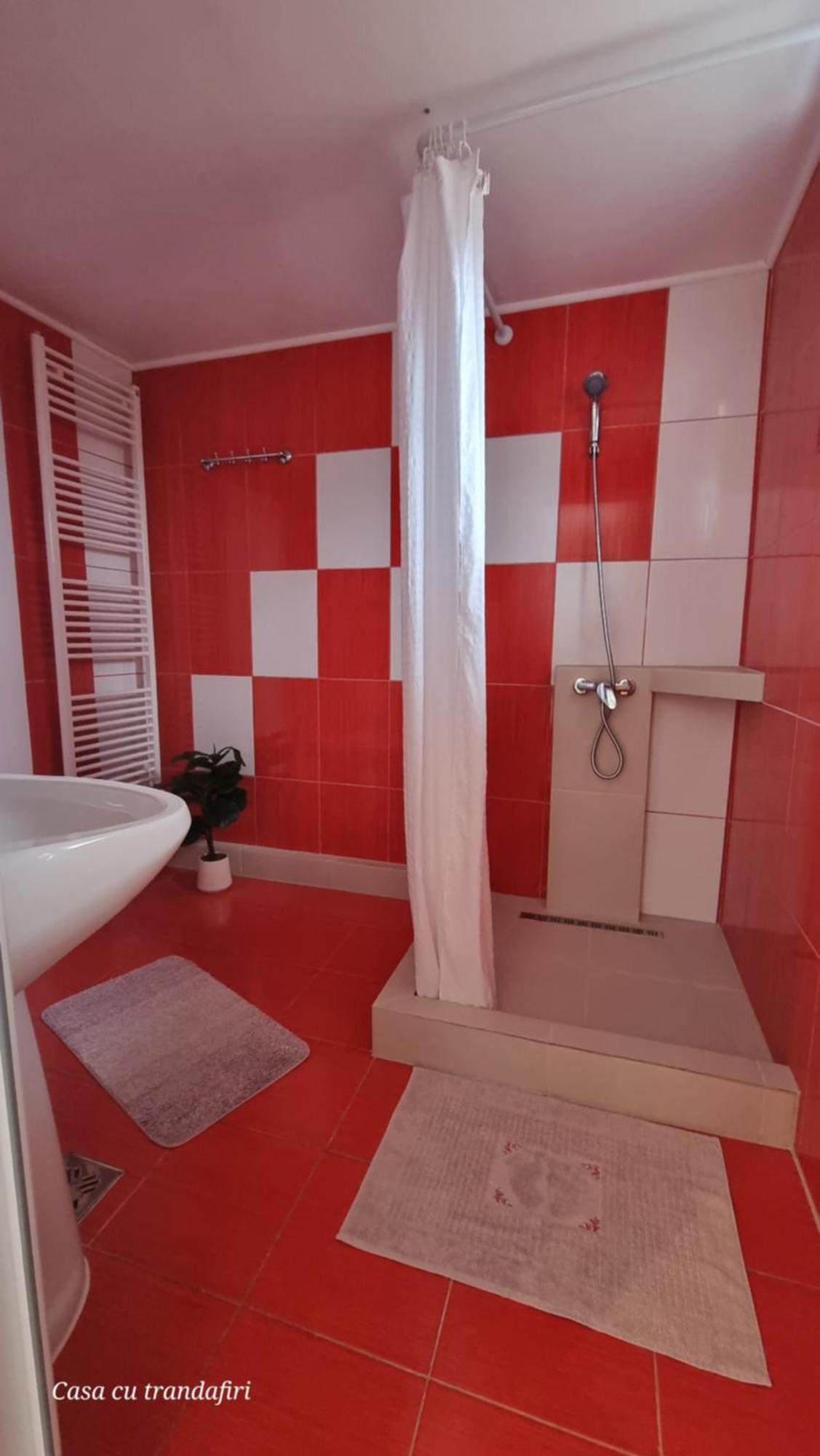 Casa Cu Trandafiri Murighiol Bagian luar foto
